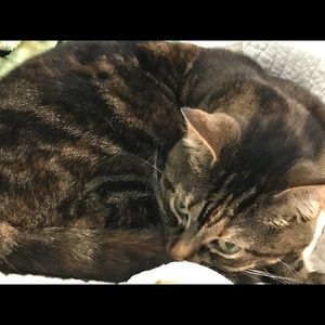 Meet your Posher, Ella